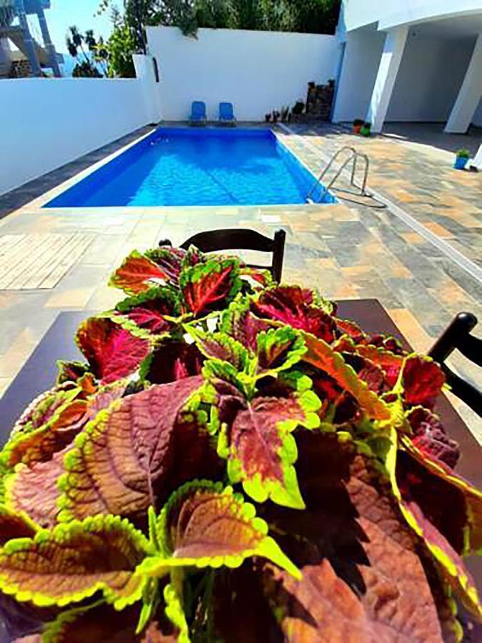 Hotel Seadel Ksamil Ngoại thất bức ảnh